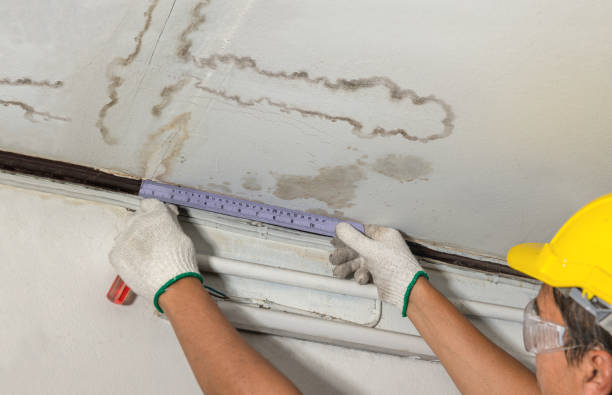 Reliable Structural Drying contractor in Filer City, MI by Water Damage Irwin
